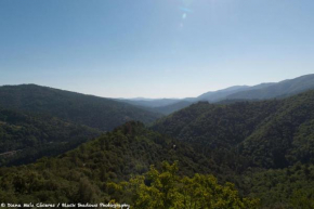 La vallée de Gaïa